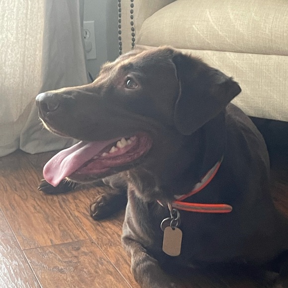 Posh Ambassador David! - Picture 1 of 1